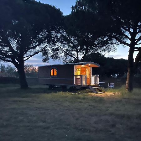 La Cabane D'Ariane Сен Мари де ла Мер Екстериор снимка