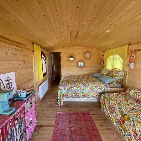 La Cabane D'Ariane Сен Мари де ла Мер Екстериор снимка